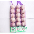 importación fresca china 3 p 4 p 5 p paquete 10 kg cartón puro ajo blanco